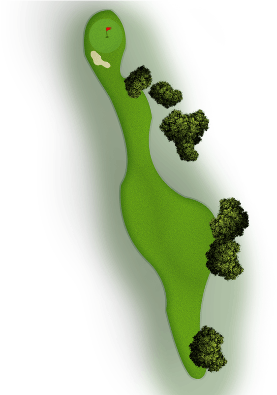 Map-10 - Moss (600x800), Png Download