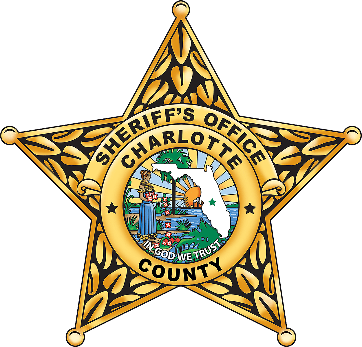 Detectives Requesting Video Of Disturbance At Redneck - Alachua County Sheriff's Office Logo (1250x1198), Png Download