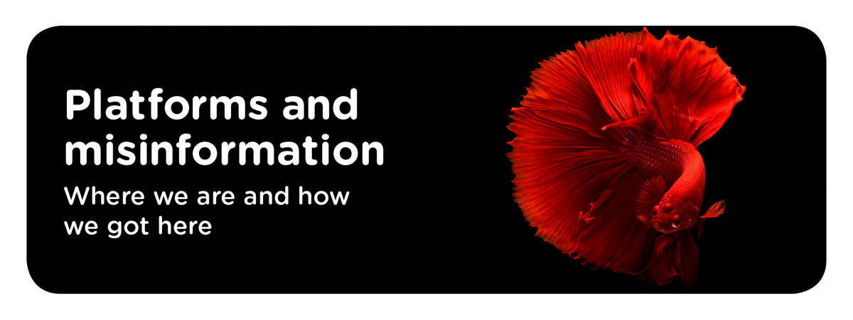 Platforms And Misinformation - Corn Poppy (1200x450), Png Download