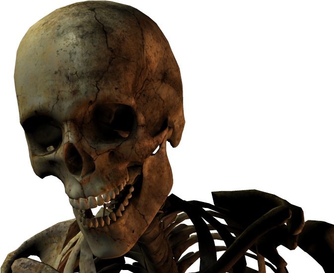 3d Skull Photo - Skull (831x550), Png Download