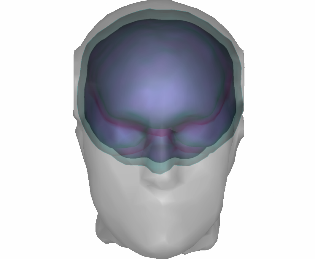 External Surface Of The Cortex Example With Three Surfaces (1062x875), Png Download