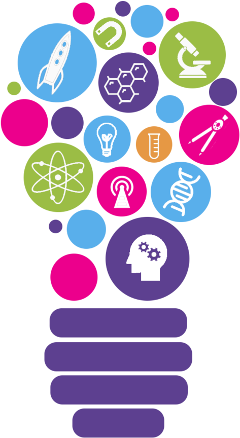 Stem Png (1000x1299), Png Download
