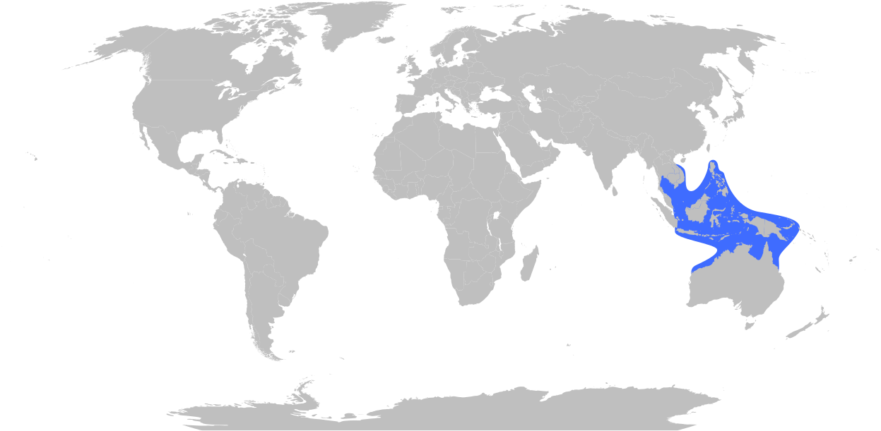 Sea Wasp Or Box Jellyfish Range Silhouette Cameo, Map - Blue Ringed Octopus Habitat Map (1363x657), Png Download