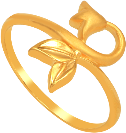 Ring (700x525), Png Download