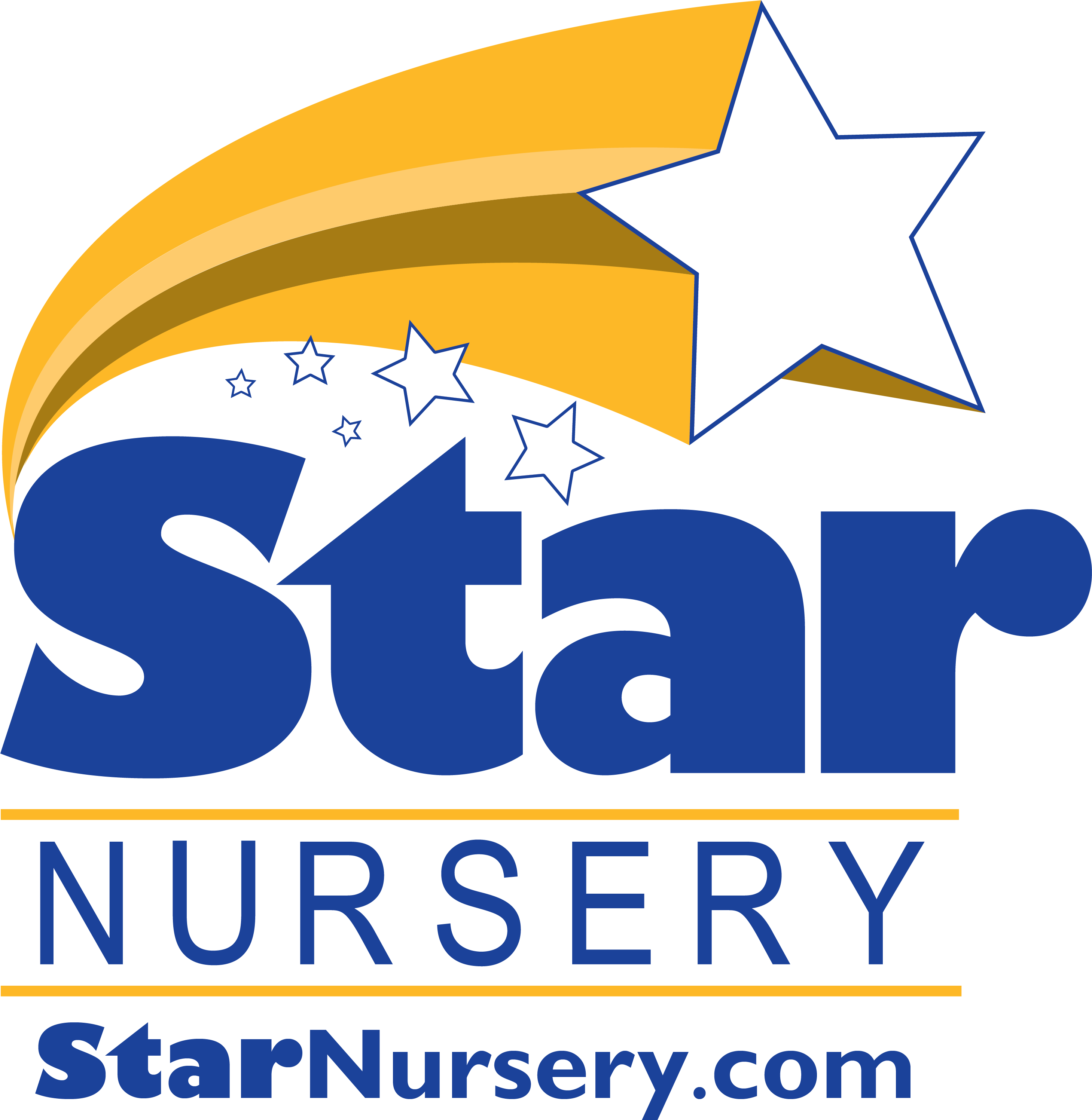Http - //www - Starnursery - Com/wp Star W Dot Com - Staplcotn (2917x3042), Png Download