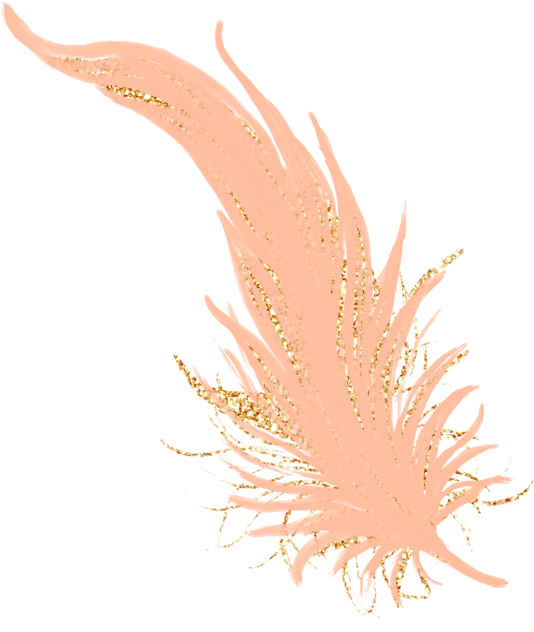 #feathers #feather #pastel #golden #gold #rosegold - Marine Biology (1024x1024), Png Download