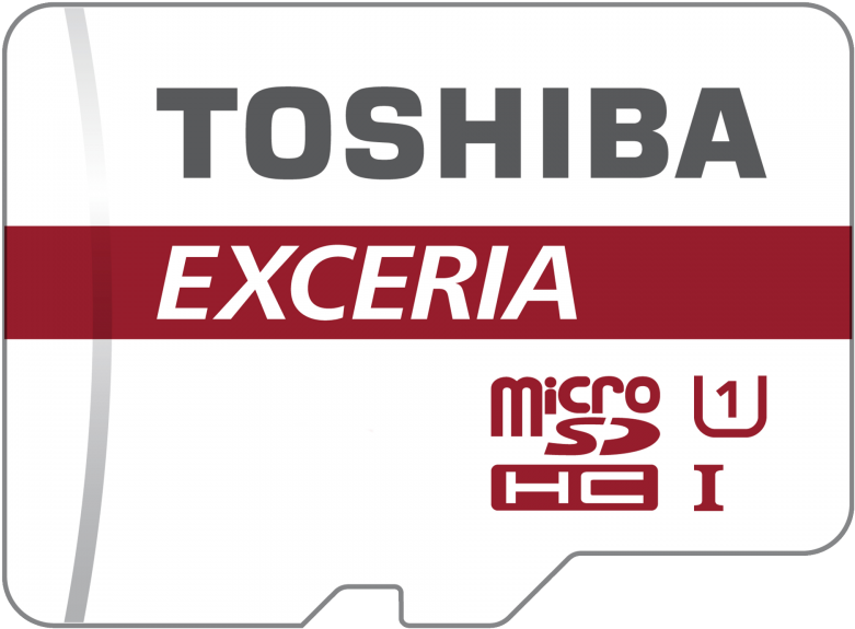 Toshiba Exceria 64gb Sdxc (800x800), Png Download