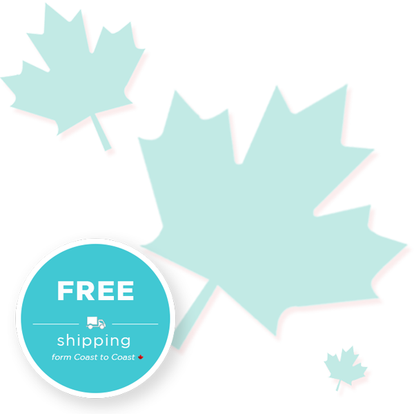 Buy Now - Maple Leaf (600x600), Png Download