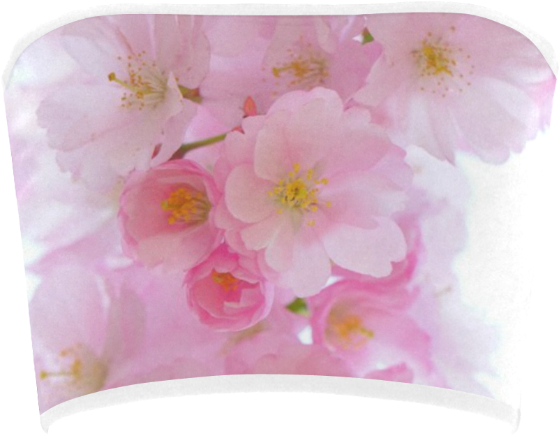 Cherry Blossom (1000x1000), Png Download