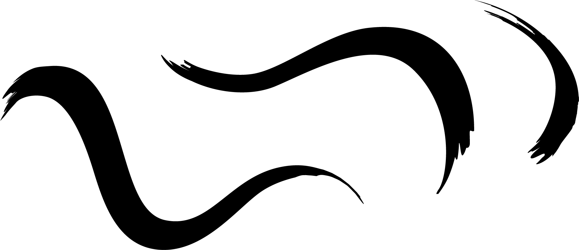 Matt Doherty (1883x815), Png Download