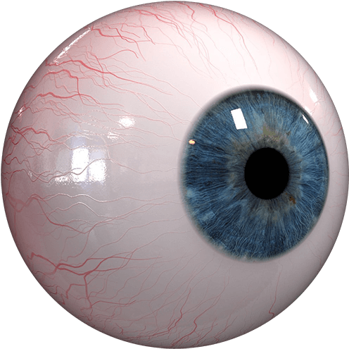 Nj ™ Creepy Eyes, Creepy Halloween, Iris, Lenses, Pintura - Circle (600x600), Png Download