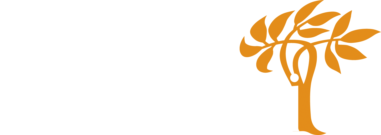 Work With The United Nations - Graphic Design (1598x567), Png Download