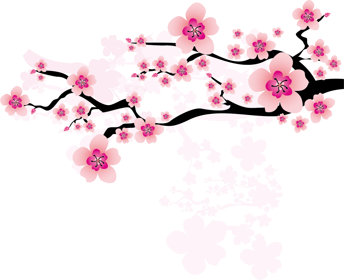 Ume Blossom Clipart Apricot Blossom - Chinese Plum Blossom Clipart (1165x948), Png Download