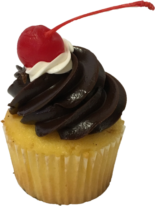 Boston Cream (1000x1000), Png Download