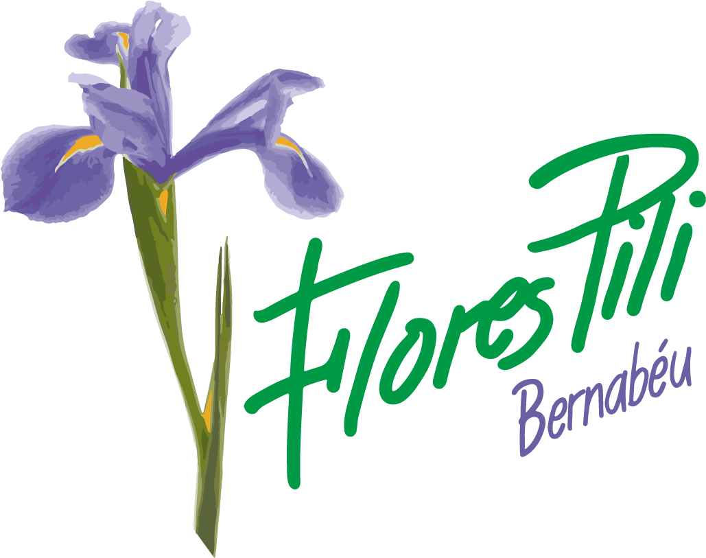 Flores Pili Madrid - Iris Versicolor (1191x1191), Png Download