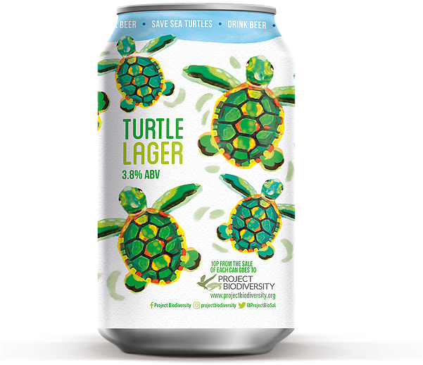 Turtle Lager Can - Non-alcoholic Beverage (625x606), Png Download