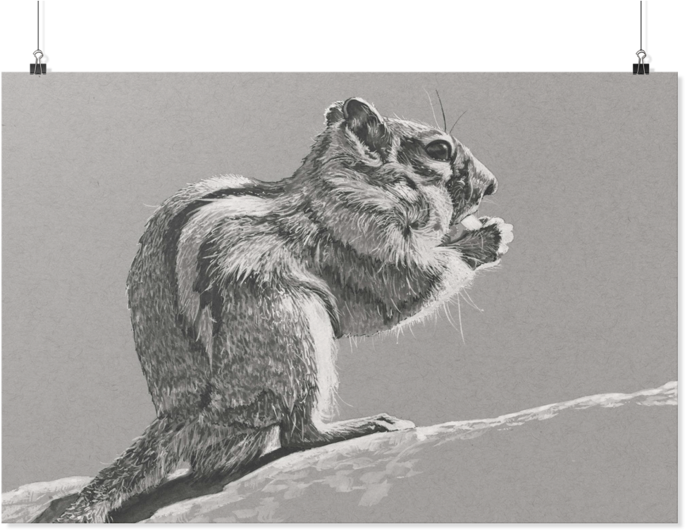 Chipmunk Poster By Yue Zeng - Grizzly Bear (1024x1024), Png Download