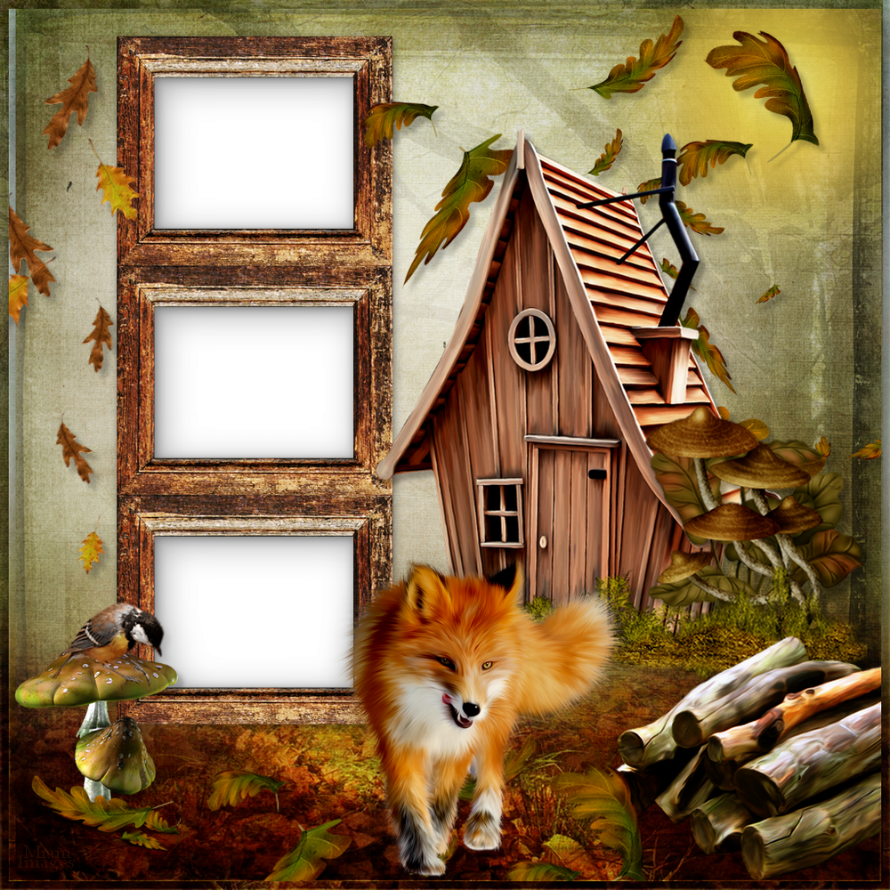 Cadres Automne - Pomeranian (1000x1000), Png Download