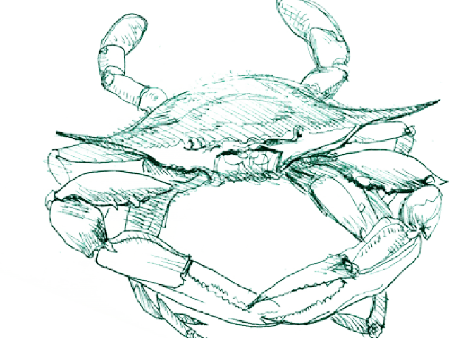 Blue Crab Png - Freshwater Crab (640x480), Png Download
