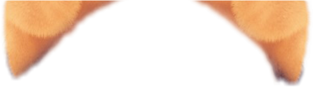 Snapchat Filters Clipart (640x480), Png Download