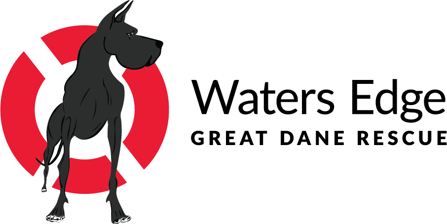 Waters Edge Great Dane Rescue Is Committed To Rescuing - Great Dane (906x454), Png Download