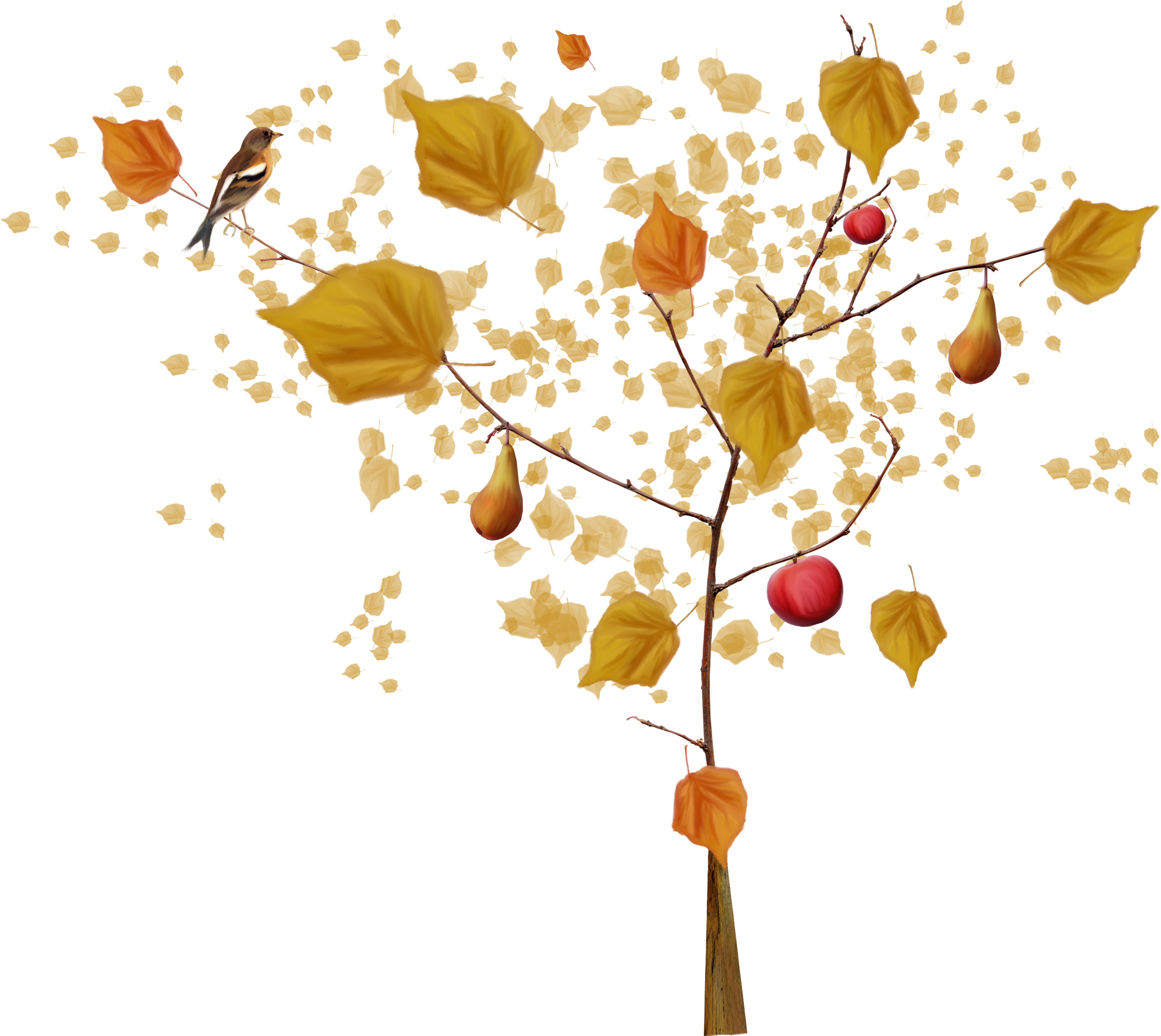 Autumn Tree 4500*3600 Transprent Png Free Download - Clip Art (4500x3600), Png Download