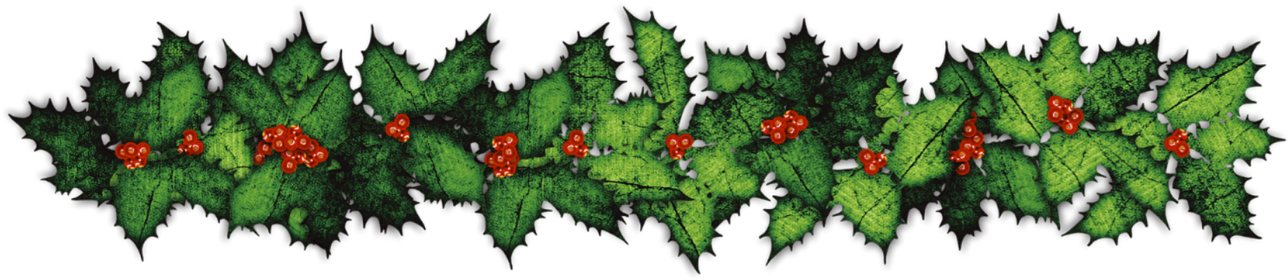 Tannenzweig Weihnachten Png (1908x480), Png Download