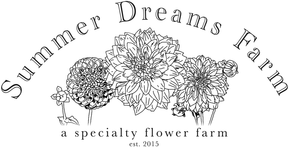 Summer Flowers Png (1000x514), Png Download