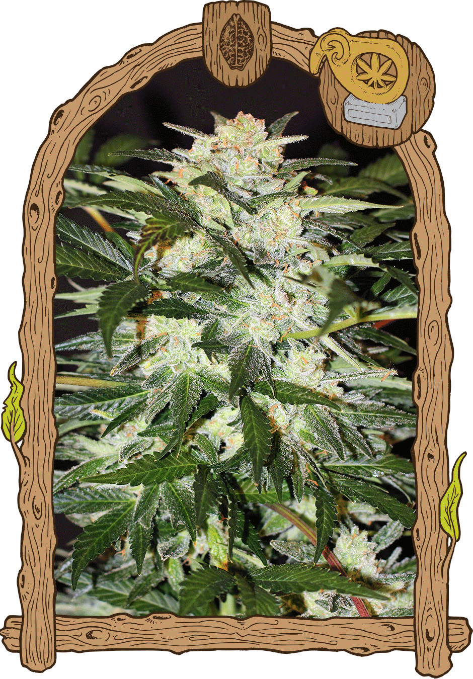 Monster Mash - Monster Mash Auto Exotic Seeds (940x1350), Png Download