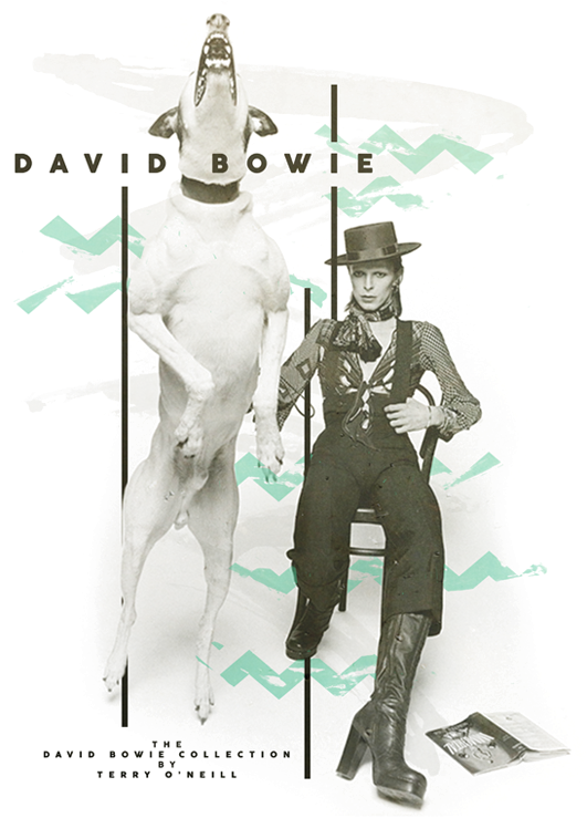 Terry O Neill David Bowie (800x800), Png Download