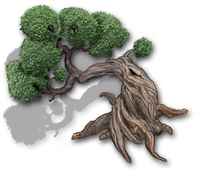 Bonsai Tree Darker Shadow Med - Broccoli (700x618), Png Download