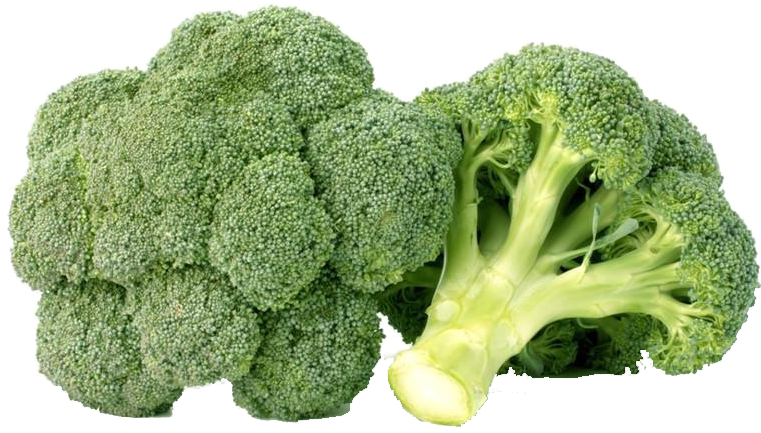 Broccoli (778x778), Png Download
