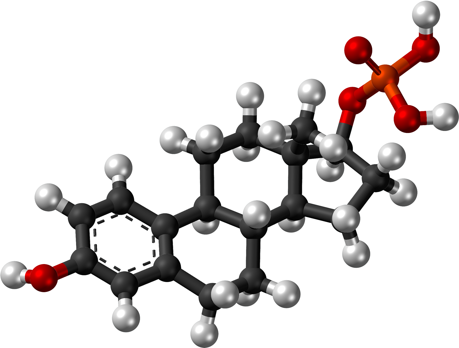 Estradiol Phosphate Molecule Ball - Estradiol Png (2000x1560), Png Download