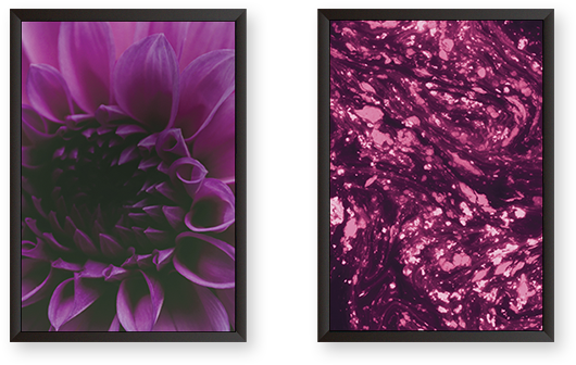 Purple Tulips With Abstract Art Set Of 2 Frames - Dahlia (600x600), Png Download