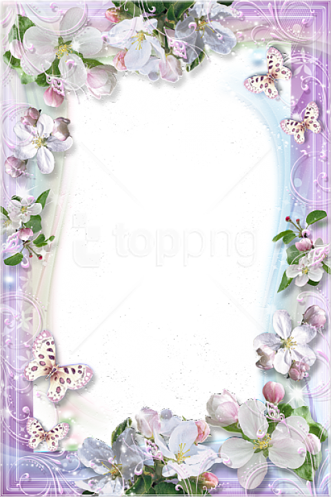 Free Png Best Stock Photos Beautiful Flowers Transparent - Gallery Yopriceville Frames (480x720), Png Download