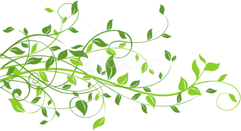 Free Png Download Spring Decor With Leaves Png Images - Transparent Leaf Png (850x467), Png Download
