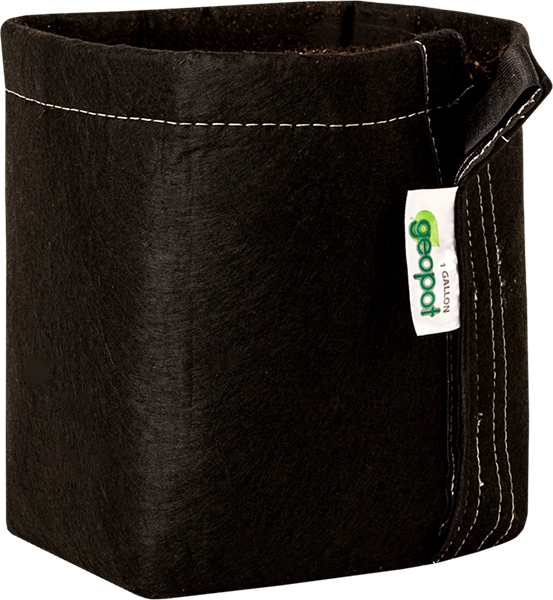 Wallet (553x600), Png Download