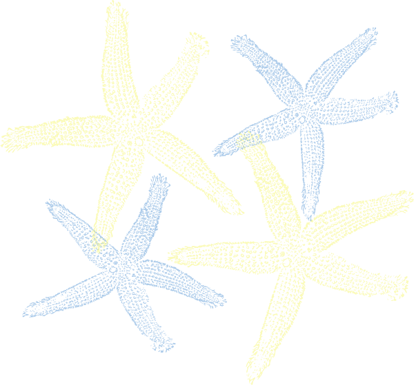 Starfish - Starfish Clip Art (600x559), Png Download