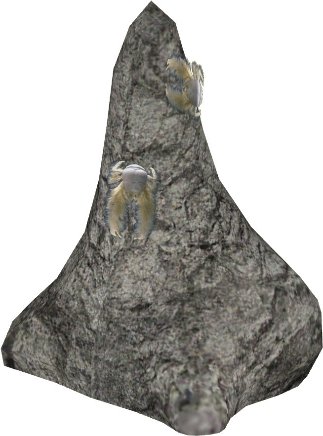 Yeti Crab Rock - Artifact (882x882), Png Download