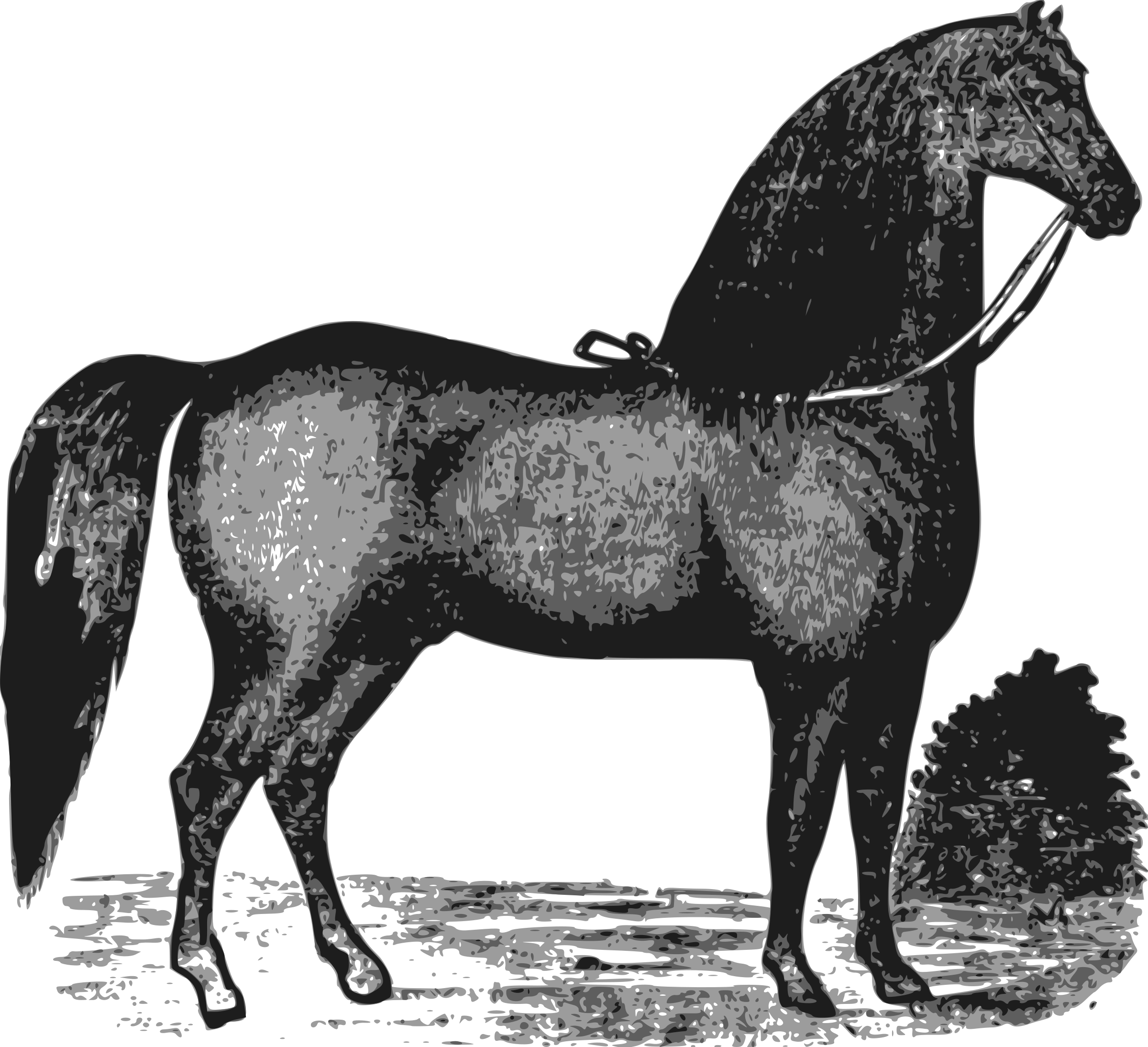 This Free Icons Png Design Of Elegant Horse (2400x2188), Png Download