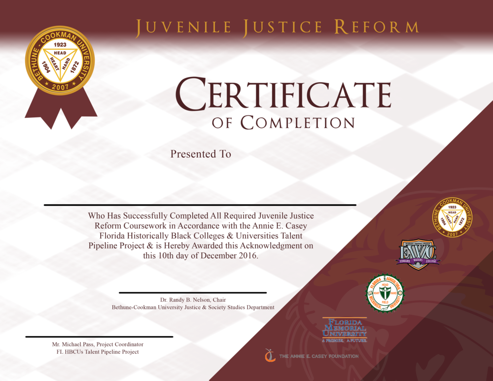 Juvenile Justice Reform Certificate - Egypt Central Egypt Central (1000x773), Png Download