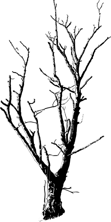 Raised Hands Png - Dead Tree Black White (360x720), Png Download