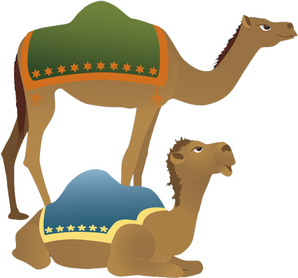 Camel Png Clipart - Camel Clipart (600x551), Png Download