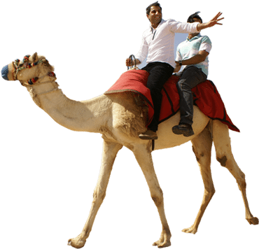 Camel Ride Casela Mauritius - Desert Safari Camel Ride (369x400), Png Download