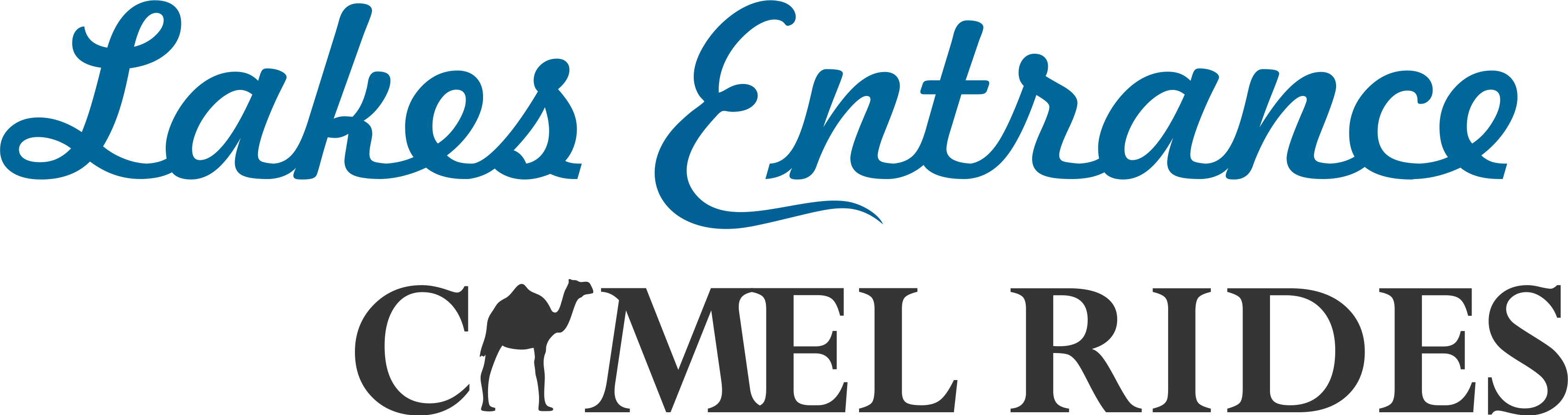 Lakes Entrance Camel Rides Logo - Would You Rule: Legal Puzzles, Brainteasers, (3415x904), Png Download