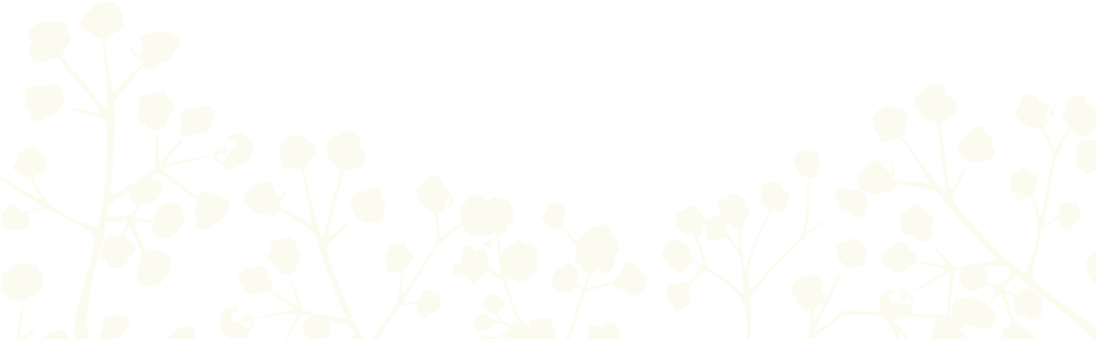 Baby Breath Bottom Transparent Thin (1000x320), Png Download