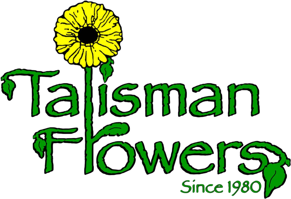 Sunflower (966x672), Png Download