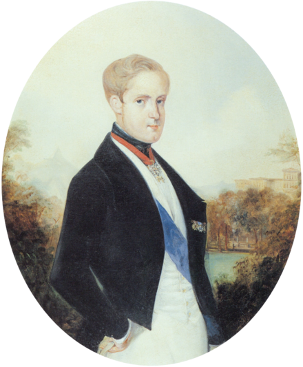 Emperor Pedro Ii Of Brazil With Blond Hair, C - Dom Pedro Ii Rugendas (440x533), Png Download