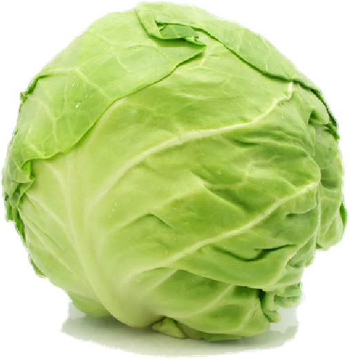 Cabbage Free Png Image - My First Big Book Of Vegetables (506x520), Png Download
