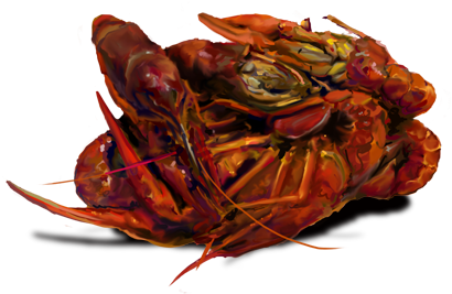 Get Your Crawfish Boil On At Capt - Homarus (500x311), Png Download